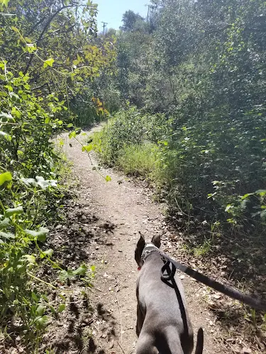 Dog Park Henninger Trailhead Pasadena