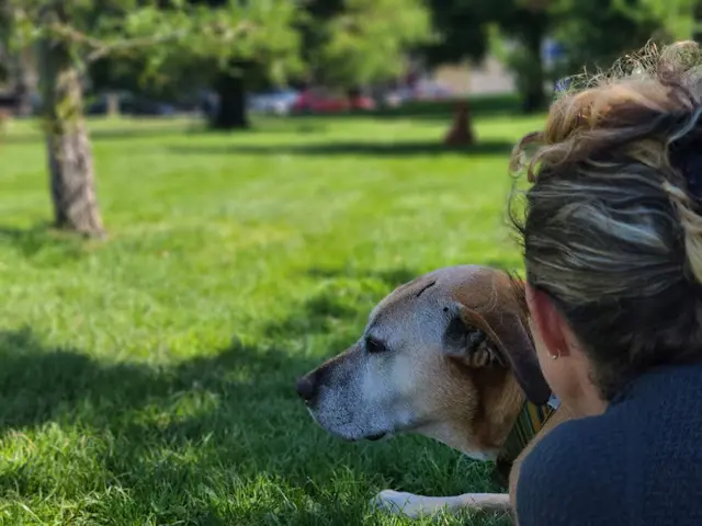 Pet vet Golden Gate Home Hospice and Euthanasia San Francisco
