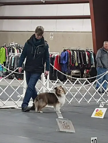 Dog trainer WOW! Dog Training - Chilliwack, BC Bellingham