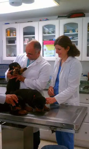 Pet vet Southgate Veterinary Hospital Sacramento