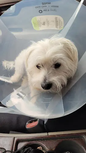 Pet boarding service Valley Pet Care Modesto