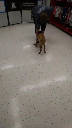 Dog breeder Petco Salinas