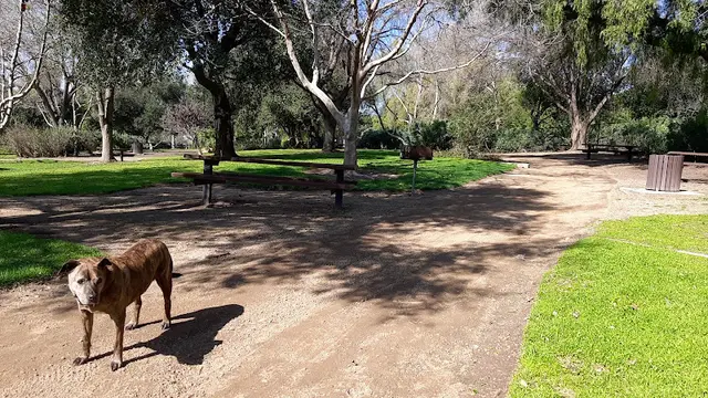 Dog Park San Dimas Dog Park Ontario