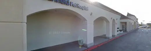 Dog day care center PetSmart Grooming Los Angeles