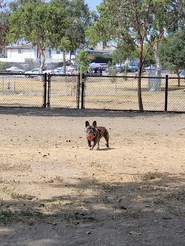 Dog Park Rio San Gabriel Dog Park Downey