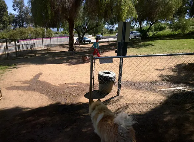 Dog Park Loma Linda Large Dog Park San Bernardino