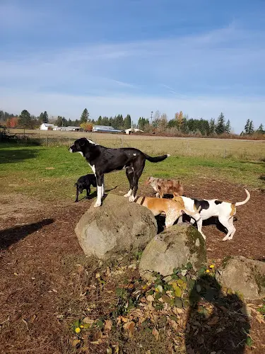Dog day care center Natures Acres Boarding Kennels Portland