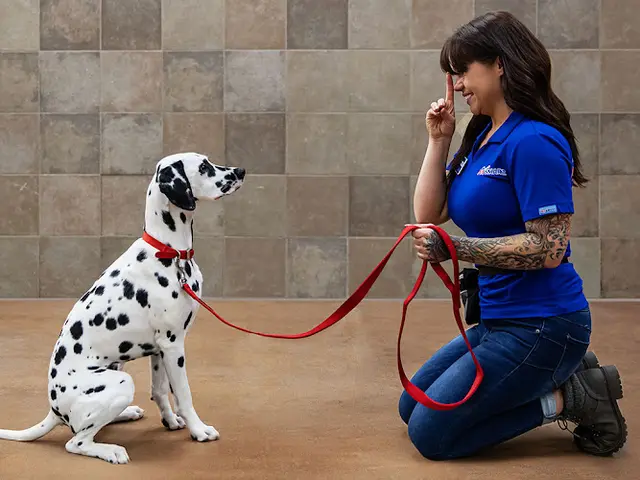 Dog trainer PetSmart Visalia