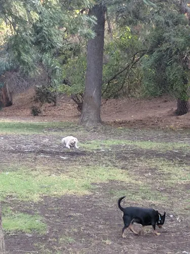 Dog Park Crestwood Hills Park Santa Monica