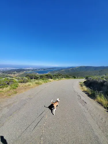 Dog Park Sweeney Ridge Trailhead Daly City