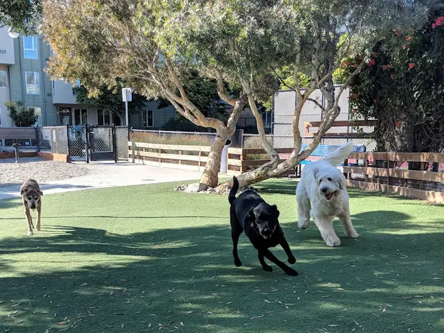 Dog Park Berry Street Dog Park Oakland