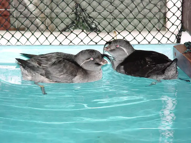 Rescue & Shelter Alaska Wildlife Response Center by International Bird Rescue Anchorage