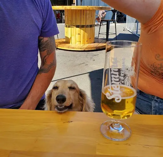Dog trainer Stemma Brewing Company Bellingham
