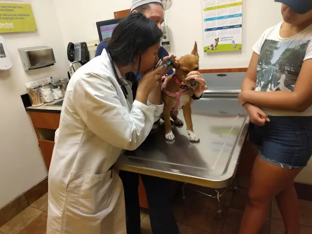 Pet vet Banfield Pet Hospital San Diego