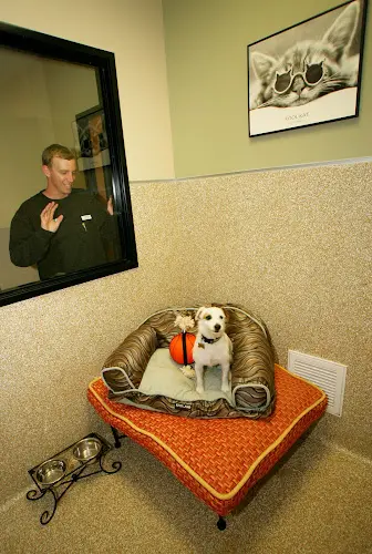 Dog day care center Rolling Hills Pet Hospital Chula Vista