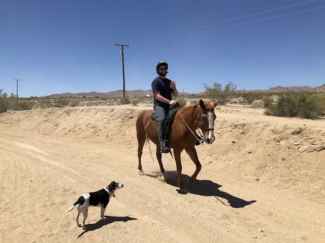 Dog day care center Triple C Ranch Horse Hotel Bakersfield