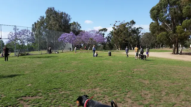 Dog Park Grape Street Dog Park San Bernardino