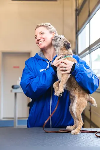 Dog trainer Fido Physio Bellingham