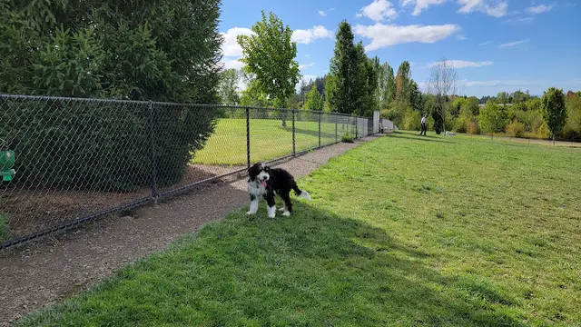 Dog Park Rock Creek Dog Park Gresham