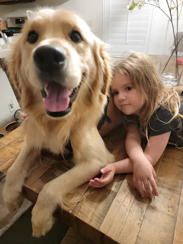 Pet boarding service San Elijo Hills Veterinary Clinic San Marcos
