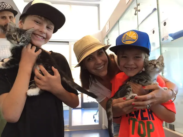 Rescue & Shelter Marin Humane - Kitty Corner Richmond