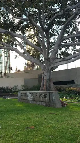 Dog Park Santa Cruz Park Long Beach