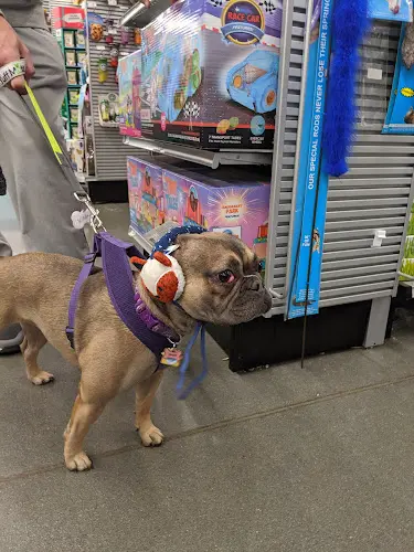 Dog breeder PetSmart Vallejo