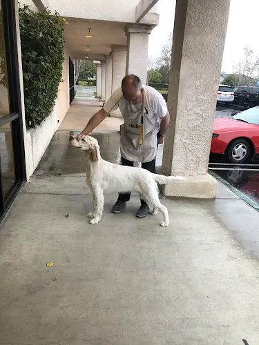 Dog day care center Alta Pet Center Rancho Cucamonga