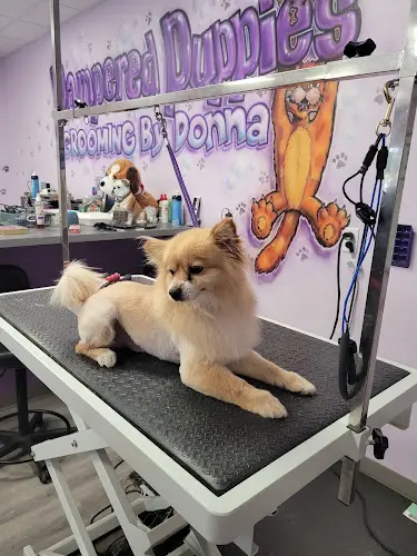 Dog Grooming Pampered Puppies Pet Grooming Victorville
