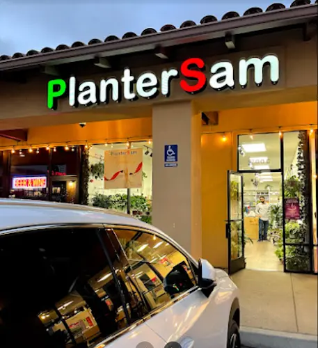 Rescue & Shelter PlanterSam San Marcos