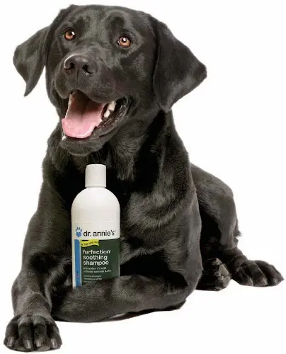 Pet vet Animal Wellness Centers Santa Monica