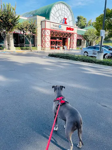 Pet vet Vetco Total Care Chula Vista