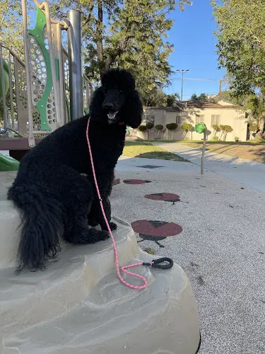 Dog Park OffLeash K9 Training Bakersfield Bakersfield