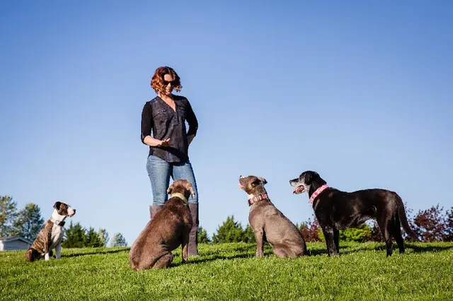 Dog day care center Wet Noses & Wagging Tails Vancouver