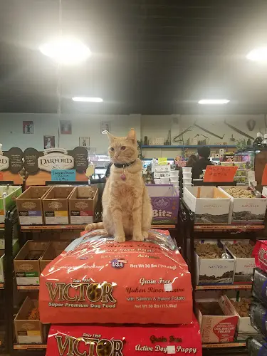 Pet vet Mike's Feed & Pets San Leandro