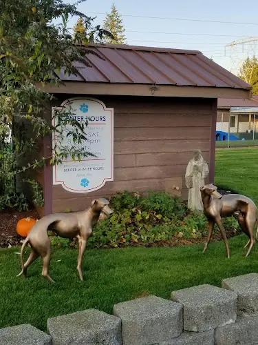 Dog day care center Northwind Pet Care Center Tacoma