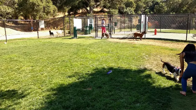 Dog Park South Hills Park Inglewood