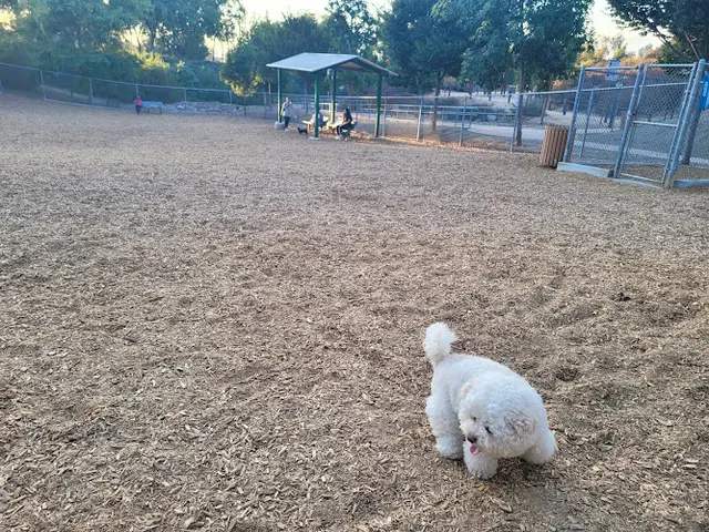 Dog Park Pantera Dog Park Ontario