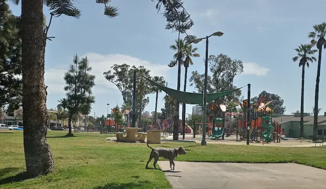 Dog Park Drake Park Carson