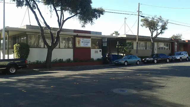 Dog day care center Peninsula Avenue Veterinary Clinic San Mateo
