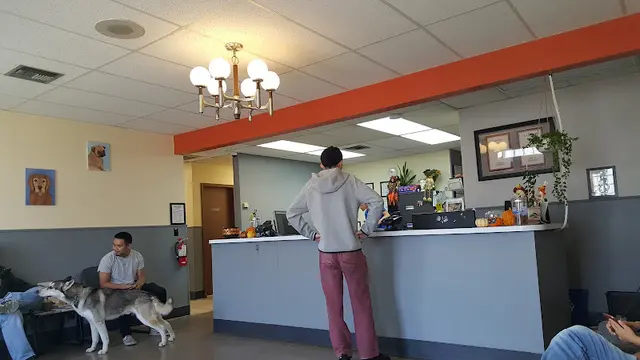 Pet vet San Bruno Pet Hospital San Mateo