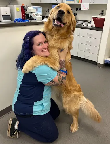 Pet vet North Star Animal Hospital Anchorage