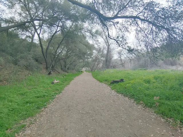 Dog Park Santa Margarita Preserve Temecula