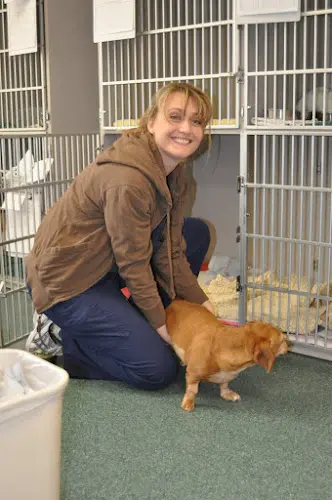 Pet vet VCA Gateway Animal Hospital Redding
