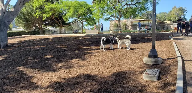 Dog Park Herb Katz Dog Park Inglewood