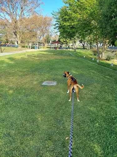 Dog Park Riverfront Park South Gate