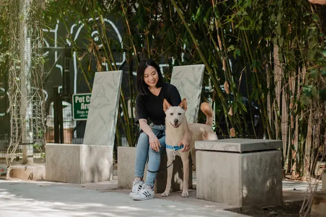 Dog day care center Puppy Pants LA Los Angeles