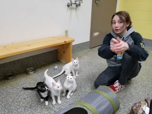 Rescue & Shelter Homer City Animal Shelter Anchorage