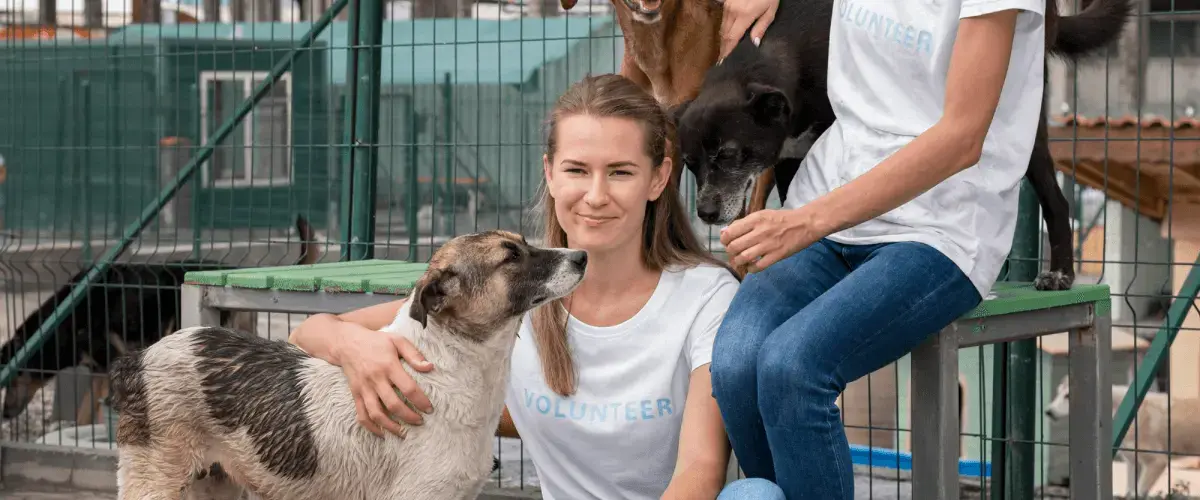 Animal rescues and shelters near Anchorage