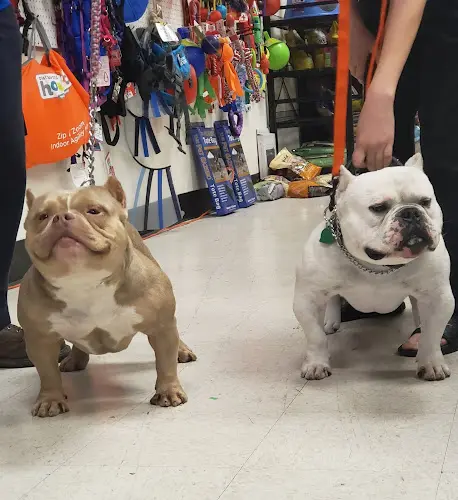 Pet boarding service Champion Pet Supply Tacoma